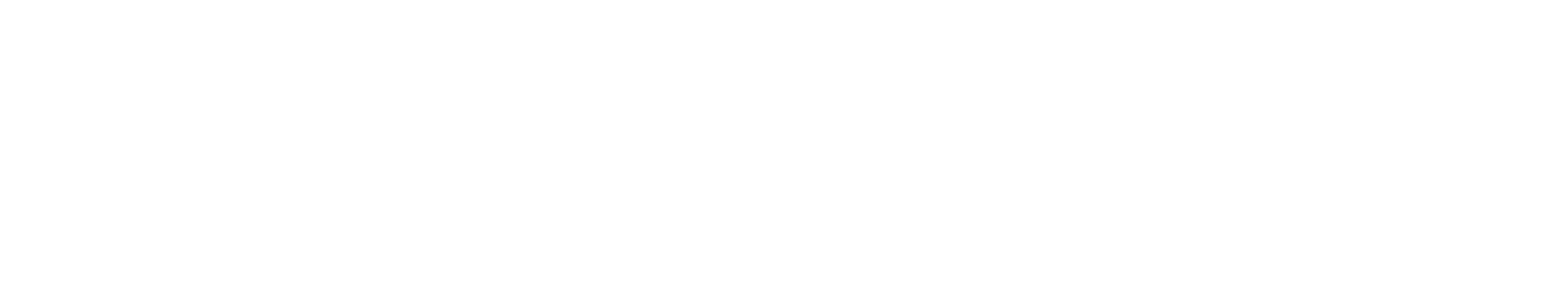 Bodidata_Logo_Screen_Neg_RGB_Registered