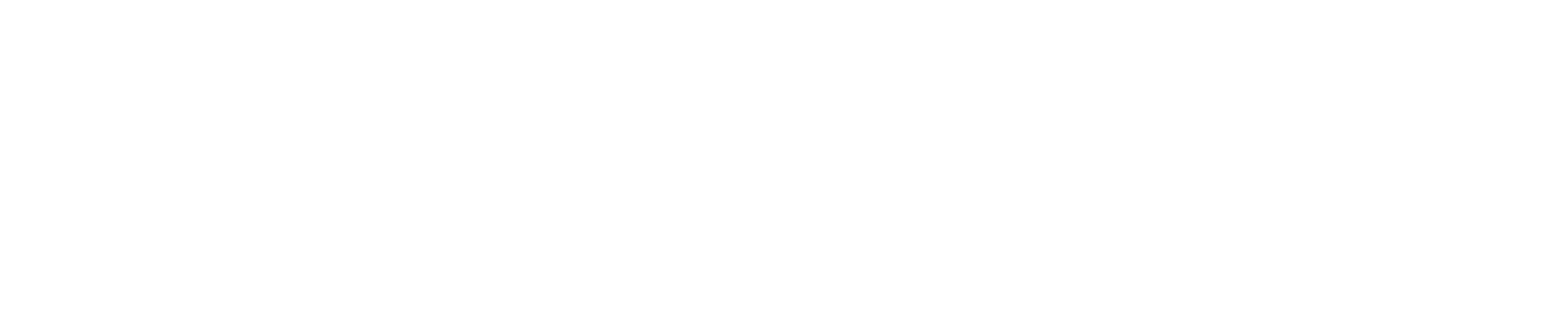 Bodidata_Logo_Screen_Neg_RGB (1)